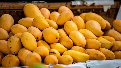 Dlaczego warto jeść mango? Korzyści i wartości odżywcze